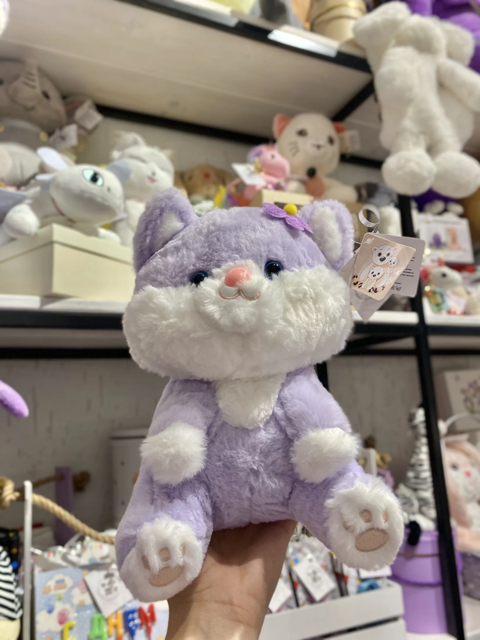 Мягкая игрушка Кот - купить в Рязани